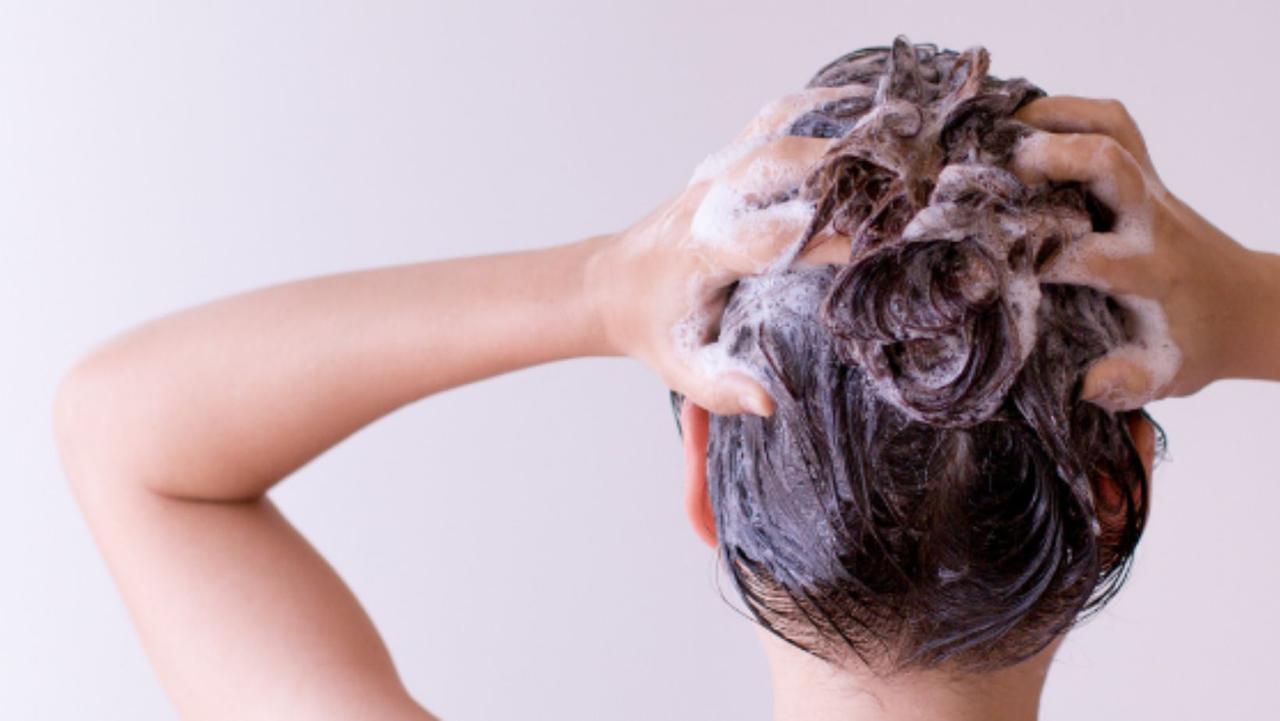 WhatsApp Image 2024-08-10 at 00.55.23